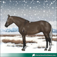 Horse Color:Gray Silver Brown Dun Tobiano Rabicano