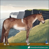 Horse Color:Chocolate Brown Dun Tobiano Rabicano
