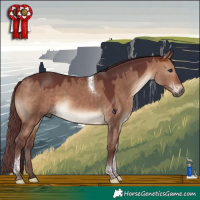 Horse Color:Chocolate Brown Dun Tobiano Rabicano 