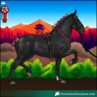 Horse Color:Gray Black 