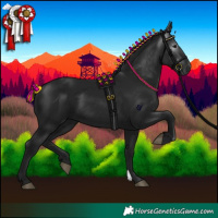 Horse Color:Gray Black 