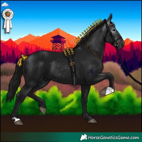 Horse Color:Gray Black 