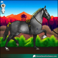 Horse Color:Gray Black 