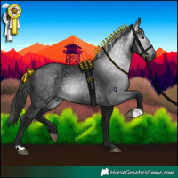 Horse Color:Gray Black 