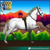 Horse Color:Gray Black 