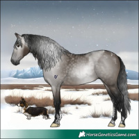 Horse Color:Powder White Gray Brown Dun