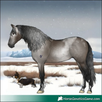Horse Color:Powder White Gray Brown Dun 