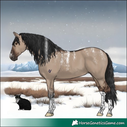 Horse Color:Powder White Liver Red Dun Tobiano 