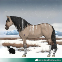 Horse Color:Powder White Liver Red Dun Tobiano