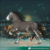 Horse Color:Gray Grullo Sabino 