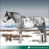 Horse Color:Powder White Gray White Spotted Brown Splash
