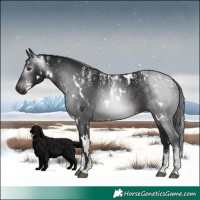 Horse Color:Powder White Gray White Spotted Brown