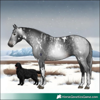 Horse Color:Powder White Gray White Spotted Brown 
