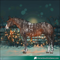Horse Color:Liver Red Dun Splash Tobiano Appaloosa  and Powder White Brown Splash 