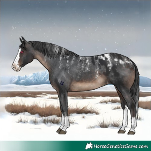Horse Color:Powder White Brown Splash Skewed LP Spotted 