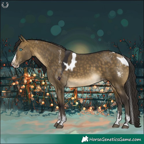 Horse Color:Powder White Buckskin Dun Splash Skewed Appaloosa 