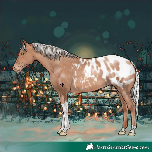 Horse Color:Silver Sable Champagne Tobiano Appaloosa Rabicano 