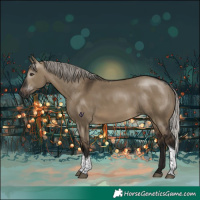 Horse Color:Gray Silver Brown Dun Tobiano Rabicano 