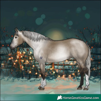 Horse Color:Gray Silver Brown Dun Tobiano Rabicano 