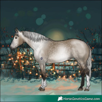 Horse Color:Gray Silver Brown Dun Tobiano Rabicano