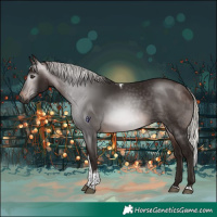 Horse Color:Gray Silver Bay Tobiano Rabicano