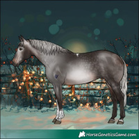 Horse Color:Gray Silver Bay Tobiano Rabicano