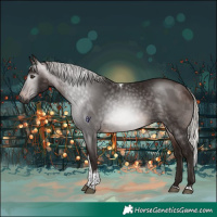Horse Color:Gray Silver Bay Tobiano Rabicano