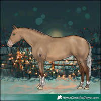 Horse Color:Gray Silver Sable Champagne Dun Tobiano Rabicano