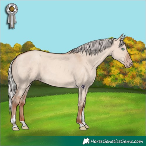 Horse Color:Silver Sable Champagne Dun Tobiano Rabicano 
