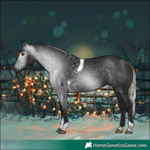 Horse Color:Gray Silver Bay Tobiano Rabicano 