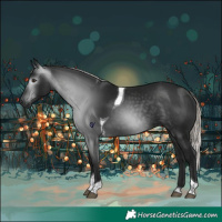 Horse Color:Gray Silver Bay Tobiano Rabicano 