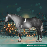 Horse Color:Gray Silver Bay Tobiano Rabicano