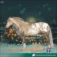 Horse Color:Gray Silver Buckskin Pearl Dun Tobiano Appaloosa Rabicano 