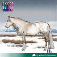 Horse Color:Gray Silver Buckskin Pearl Dun Tobiano Appaloosa Rabicano 
