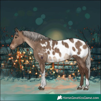 Horse Color:Silver Bay Dun Tobiano Appaloosa Rabicano