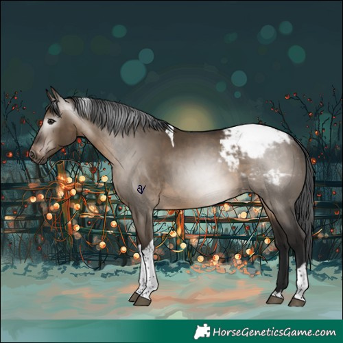 Horse Color:Gray Bay Dun Tobiano Appaloosa Rabicano