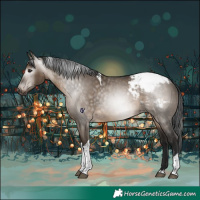 Horse Color:Gray Bay Dun Tobiano Snowcap Rabicano 