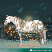 Horse Color:Gray Silver Buckskin Pearl Dun Tobiano Skewed Appaloosa Rabicano 