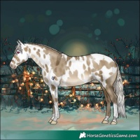 Horse Color:Gray Silver Buckskin Pearl Dun Tobiano Skewed Appaloosa Rabicano