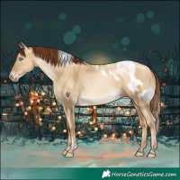 Horse Color:Gray Sable Cream Champagne Pearl Dun Tobiano Skewed Appaloosa Rabicano 