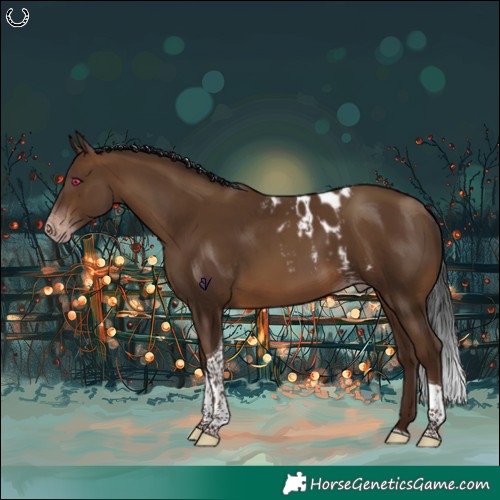 Horse Color:Gray Sable Champagne Tobiano Skewed Appaloosa Rabicano 