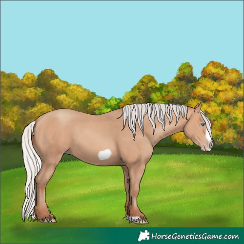 Horse Color:Silver Amber Champagne Frame