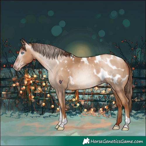 Horse Color:Gray Sable Champagne Pearl Tobiano Appaloosa Rabicano