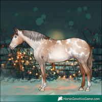 Horse Color:Gray Sable Champagne Pearl Tobiano Appaloosa Rabicano
