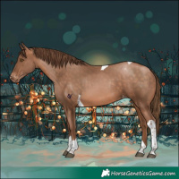 Horse Color:Brown Pearl Tobiano Appaloosa Rabicano