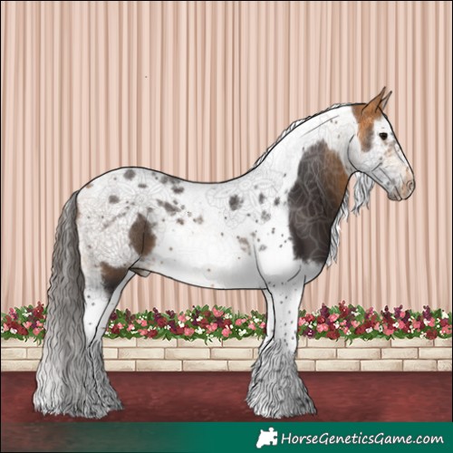 Horse Color:Buckskin Splash Tobiano Frame 