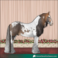 Horse Color:Buckskin Splash Tobiano Frame 