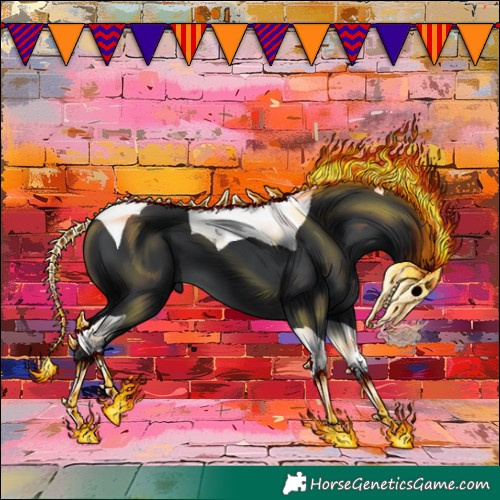 Horse Color:Black Tobiano 