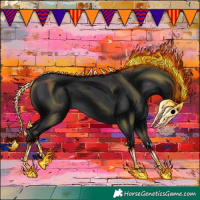 Horse Color:Black 