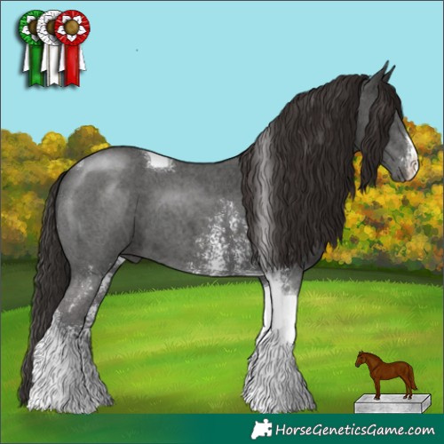 Horse Color:Liver Chestnut Sabino Tobiano 